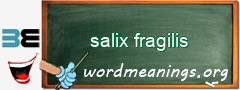 WordMeaning blackboard for salix fragilis